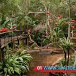 Bird Park in puerto iguazu