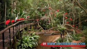 Bird Park in puerto iguazu