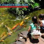 Bird Park in puerto iguazu