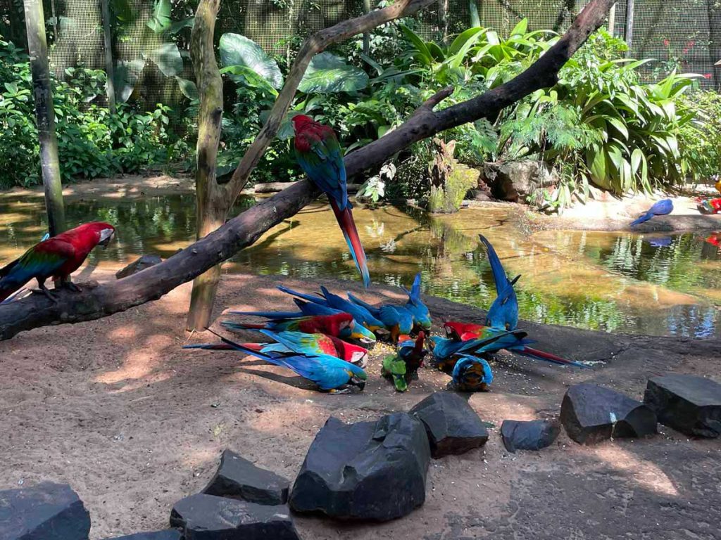 The Bird Park iguazu